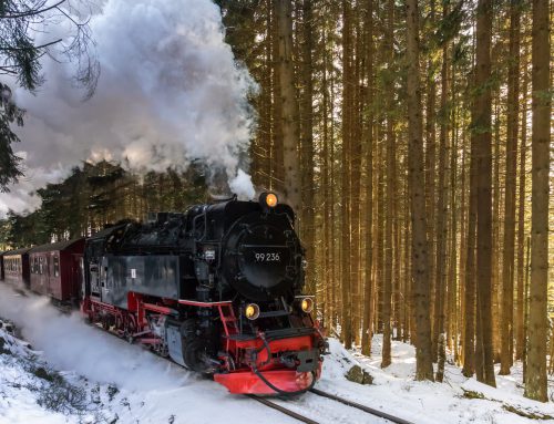 Im verschneiten Harz – mit dem SIGMA 24-70mm F2.8 DG OS HSM | Art