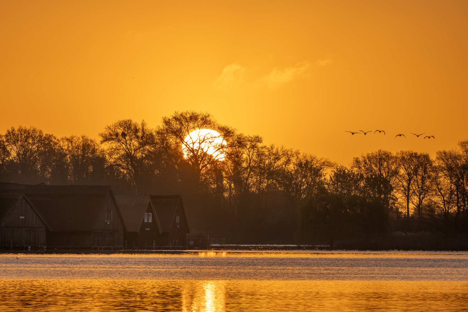 Röbel / Müritz – Sonnenaufgang Bootsschuppen